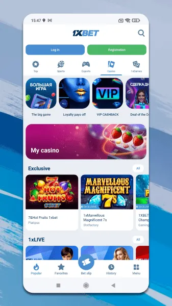  About the application